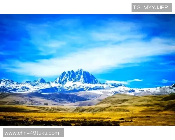 木浦市与大邱的魅力对决探索两座城市的独特风情与文化差异